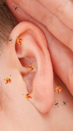 Esmagar Mosquito – zumbido - Screenshot 2