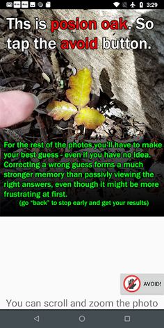 Poison Oak Training Game - Screenshot 4