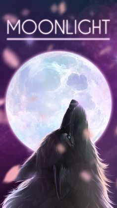 Moonlight- (nonogram) - Screenshot 1
