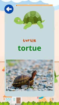 Animals in French - Screenshot 3