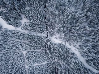 Incredible Forest Jigsaw Puzzl - Screenshot 2