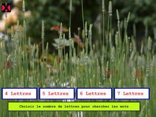 ENL lettres - Screenshot 3
