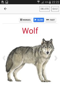 Picture Vocabulary - Screenshot 2