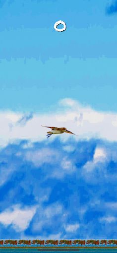 BlackHoleBird - Screenshot 1