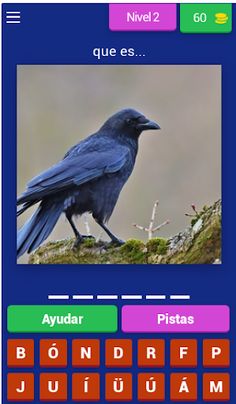 Quizz: juego de imágenes - Screenshot 2