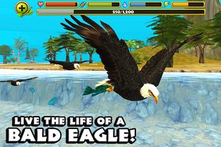 Eagle Simulator™ - Screenshot 2