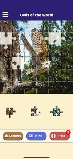 Owls of the World Puzzle - Screenshot 4