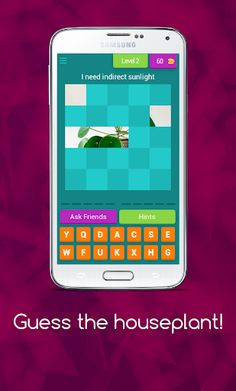 Guess the houseplant! - Screenshot 3