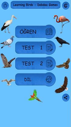 Birds - Learning Birds - Screenshot 1