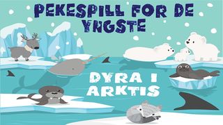 Dyra i Arktis - Screenshot 1