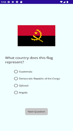 Guess The Flag - Screenshot 2