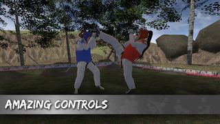 True Taekwondo - Screenshot 2