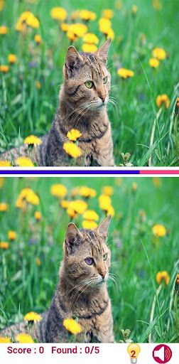 Find The Difference, spot it - Screenshot 3