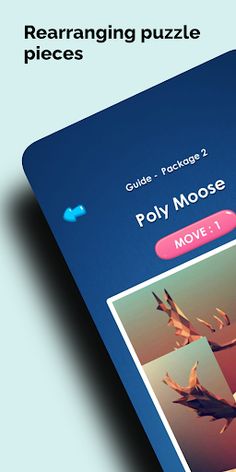 Picture Puzzle - Screenshot 1