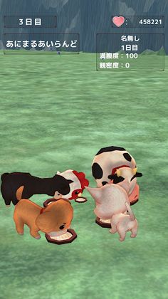 Pet Game dog,cat,rabbits, etc! - Screenshot 3