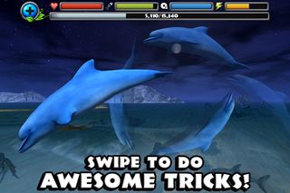 Dolphin Simulator - Screenshot 3