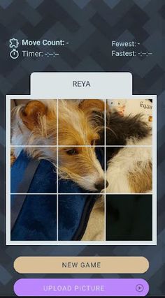 Slide a dog - Screenshot 4