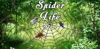 Spider Life - Screenshot 1
