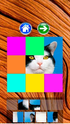 Cats - Puzzle - Jigsaw - Screenshot 3