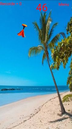 Petequinha - Screenshot 1