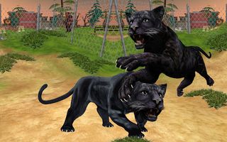 Wild Panther Fight Simulator - Screenshot 3