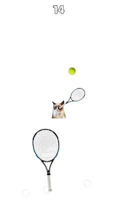 Cat Tennis: Battle Meme - Screenshot 4