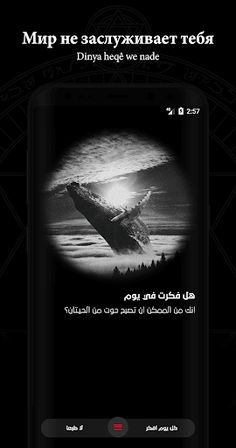 يارا - Screenshot 2