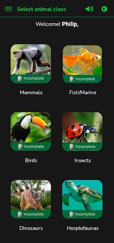 Animal Game - Screenshot 2