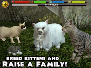 Stray Cat Simulator - Screenshot 3