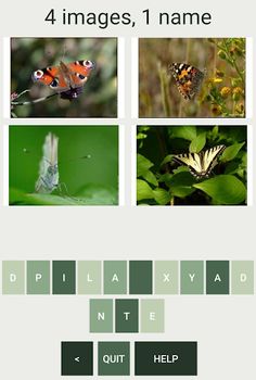 Quiz : What Butterfly Are You  - Screenshot 3