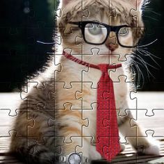 Cat Game Funny Animals Puzzles - Screenshot 2