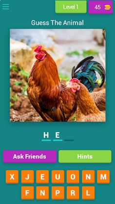 MY GUESS THE PIC - Screenshot 1