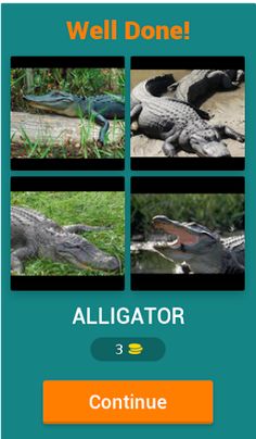 4 Pics 1 Animal - Alphabetical - Screenshot 2