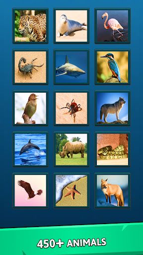 Animal Quiz Guess their Answer - Screenshot 2