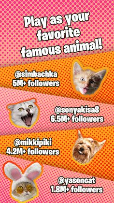 Candy Cat - Screenshot 4