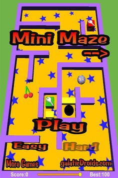 Mini Maze Pro - Screenshot 1