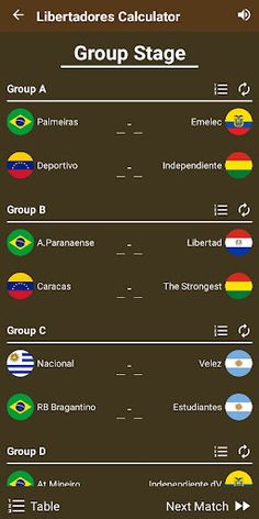 Libertadores Calculator 2023 - Screenshot 2