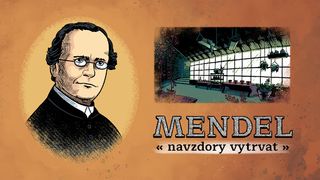 Mendel: Navzdory vytrvat - Screenshot 1