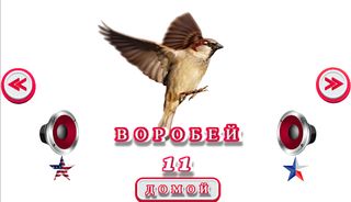 Карточки - Screenshot 1