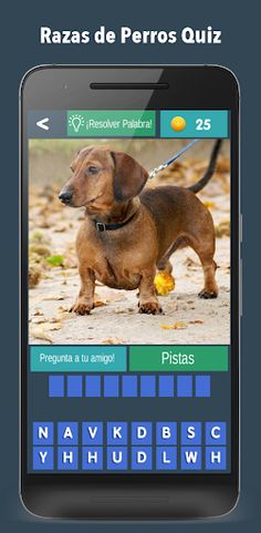 Razas de Perros Quiz 2021 - Screenshot 3