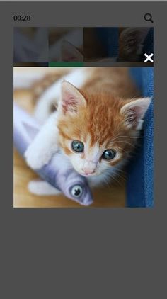 슬라이드 퍼즐 - 야옹이 - Screenshot 4