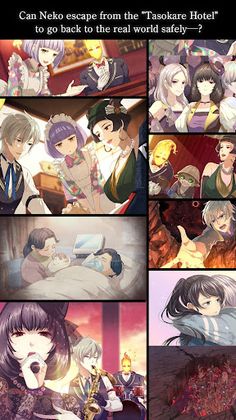 Tasokare Hotel - Screenshot 4