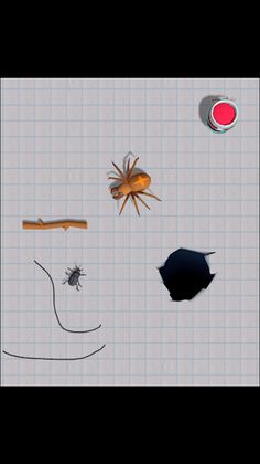 Doodle Bug Escape 3D - Screenshot 1