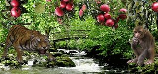 Fruit Catcher - Screenshot 2