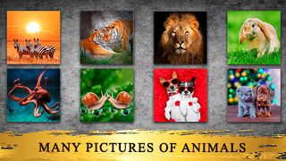 Animals Jigsaw Puzzles Offline - Screenshot 2