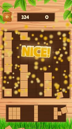 Daily Wood Block Puzzle - Screenshot 3