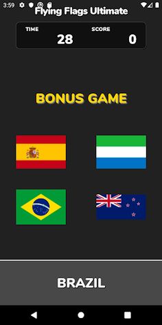 Flying Flags Ultimate - Screenshot 2