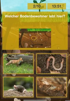 Helden der Biodiversität - Screenshot 1