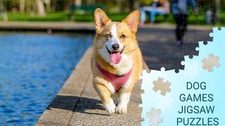 Dog Games Jigsaw Puzzles - Screenshot 2