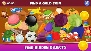 Hidden Object Puzzle - Screenshot 1